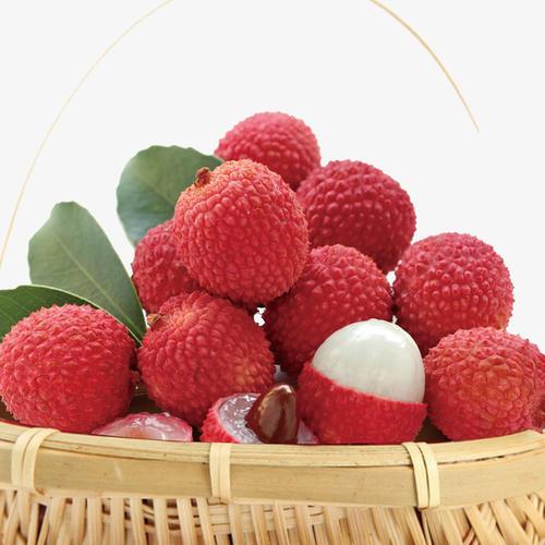 1592964219553893.jpg u=3896718043,2671348093&fm=26&gp=0.jpg