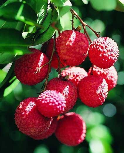 1593329189505813.jpg u=3000028758,1092019766&fm=26&gp=0.jpg